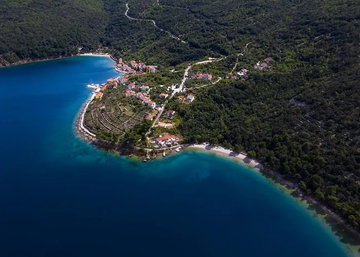 And Roberto B. فالون